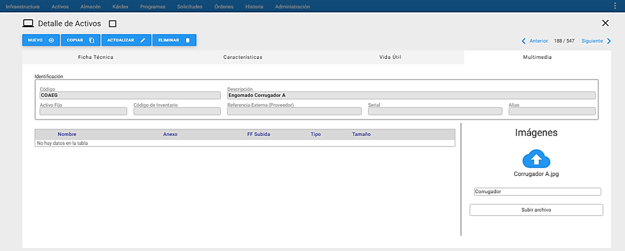 Activos - Subir Archivo