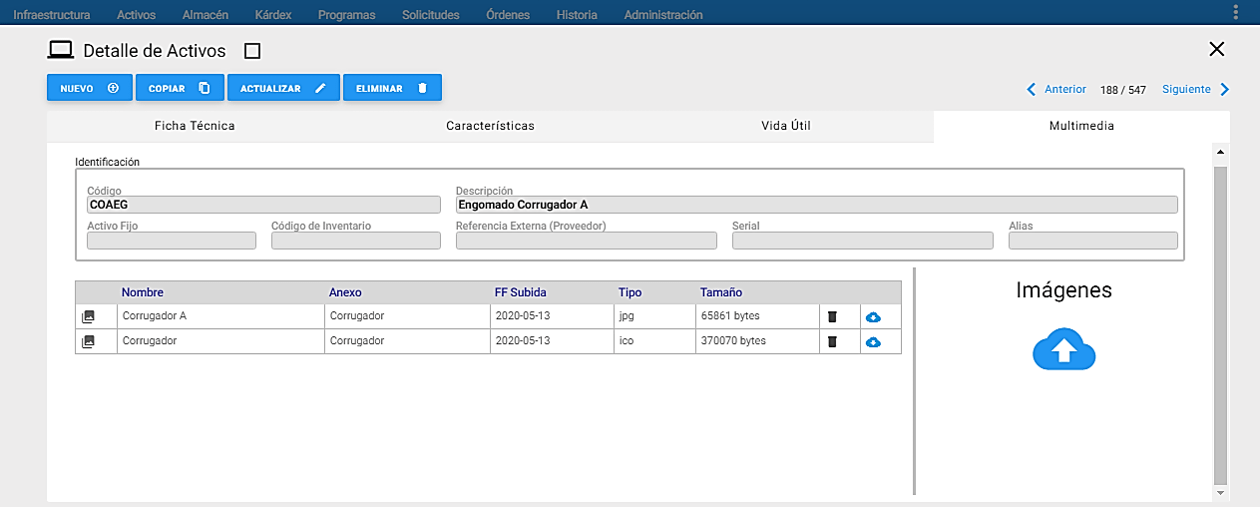 Activos - Archivos Cargados
